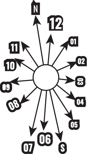 BEIGE Cut8 Vector 69